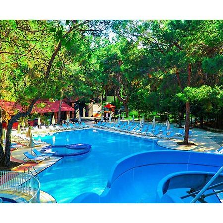 كمر Festival Nature Hotel المظهر الخارجي الصورة