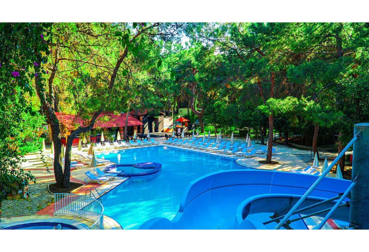 كمر Festival Nature Hotel المظهر الخارجي الصورة
