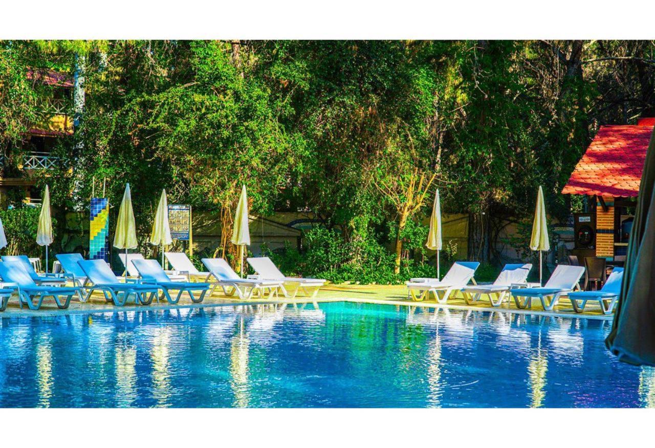كمر Festival Nature Hotel المظهر الخارجي الصورة