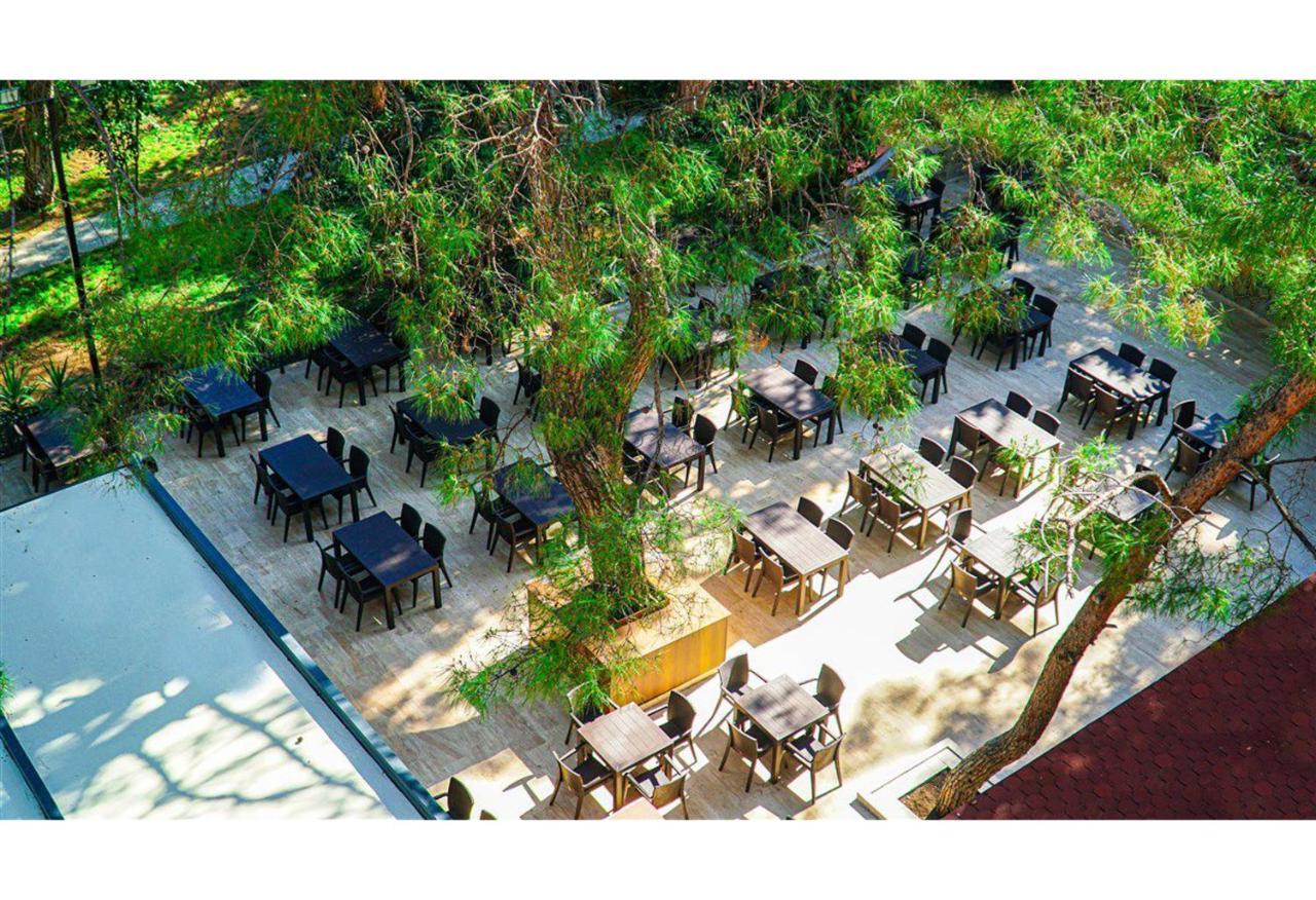 كمر Festival Nature Hotel المظهر الخارجي الصورة