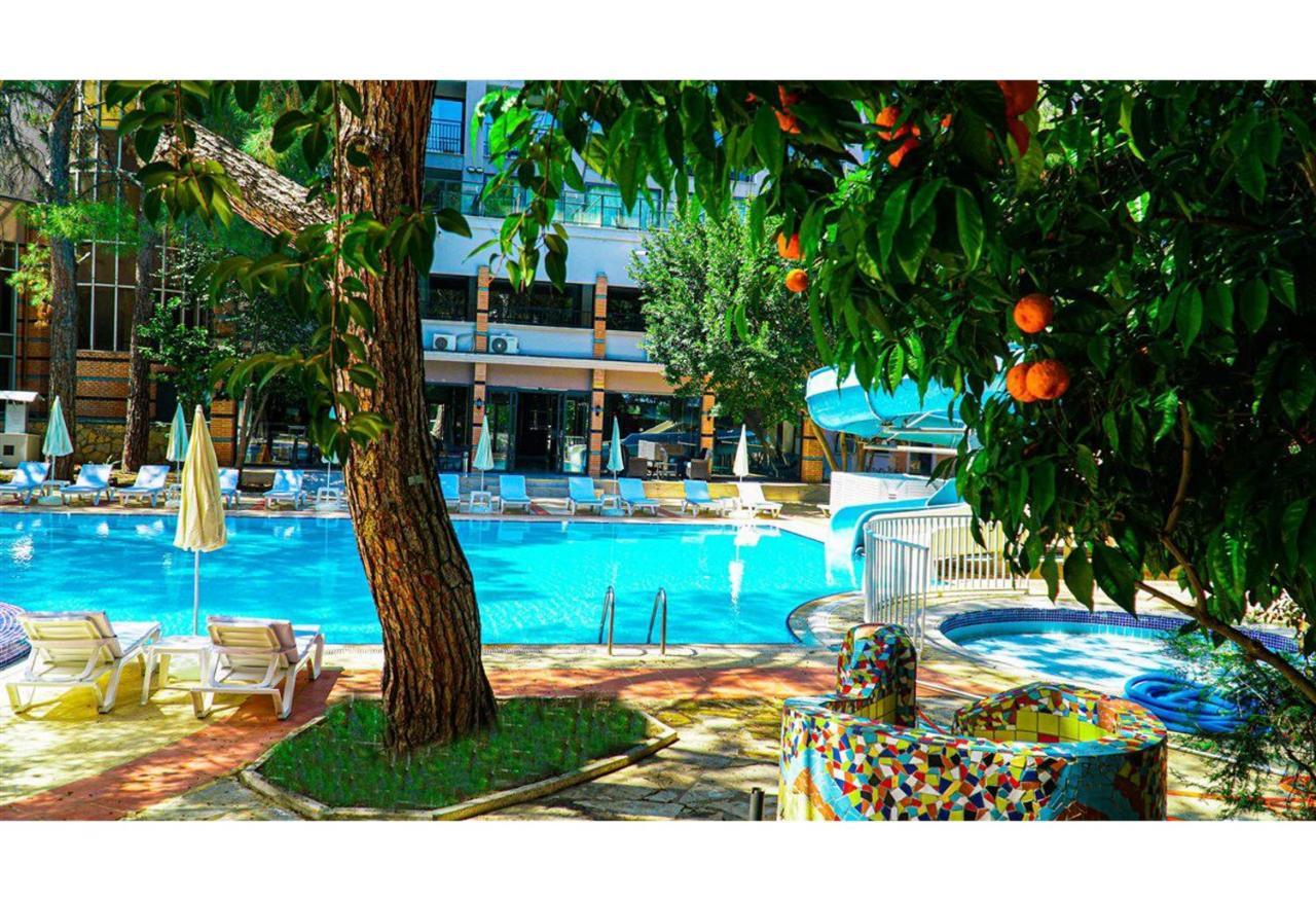 كمر Festival Nature Hotel المظهر الخارجي الصورة