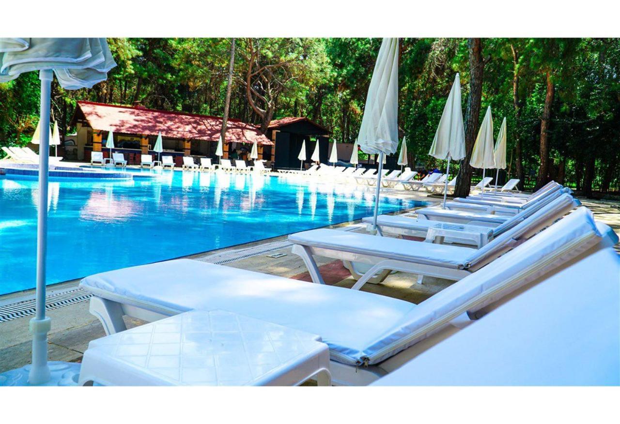 كمر Festival Nature Hotel المظهر الخارجي الصورة
