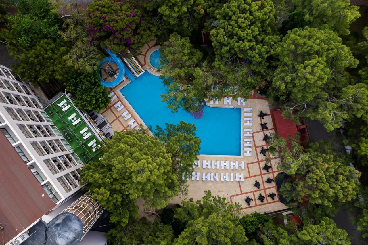 كمر Festival Nature Hotel المظهر الخارجي الصورة